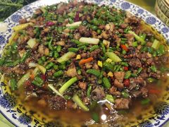 -铁山坪森林公园