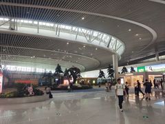 -青岛胶东国际机场