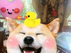 -尚竹阁冬瓜盅·18年地标美食(平洲店)