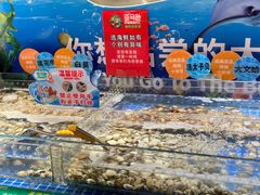 -亚马逊海鲜自助(梅溪湖步步高店)