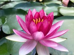 -昆山城市生态森林公园