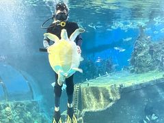 -嘉兴海底世界