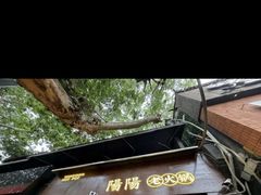 -阳阳老火锅(小南门店)