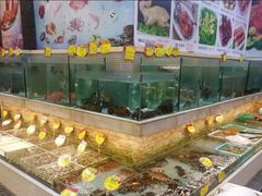 -龙宝轩(坦洲店)