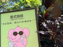 -野象谷景区