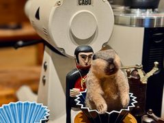 -CABO Coffee