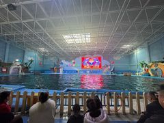 -蓬莱欧乐堡海洋极地世界