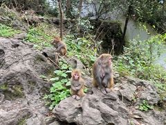 -黔灵山公园
