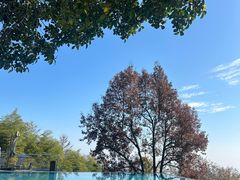 -東大方(武康千秋广场店)