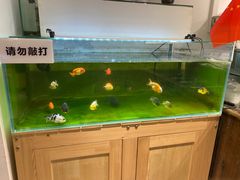 -甜心闲生传统手工冰粉(奎星楼店)