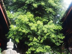 -叩齿古寺