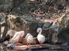 -兰亭风景区