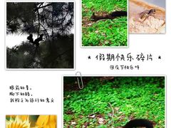 -北陵公园