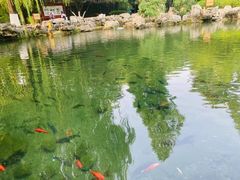 -济南大明湖景区