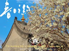 -护国法轮寺
