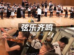 -缪斯琴行英皇小提琴.钢琴.吉他(张江店)