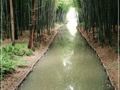 -同里国家湿地公园