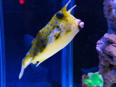 -太平洋海底世界