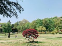 -钟山体育运动公园