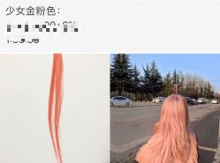 -TSO 慕尚·微潮派