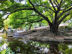 -晓港公园