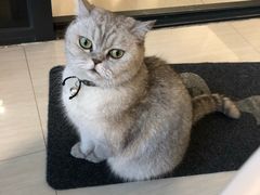 -Oasis绿洲银饰珍珠手作diy(壹方城店)