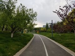 -五环公园
