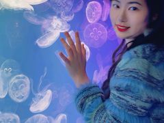 -左海海底世界