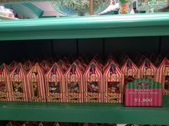 -哈利波特魔法世界