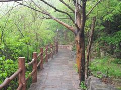 android_upload_pic-云台山风景名胜区