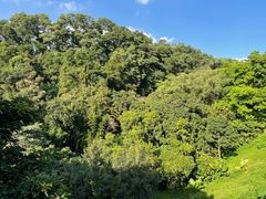 -深圳仙湖植物园