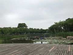 -暨阳湖生态园