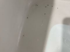 -三亚亚龙湾雅高美爵酒店