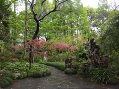 -申粤轩酒楼·三十年粤菜经典(丁香花园店)