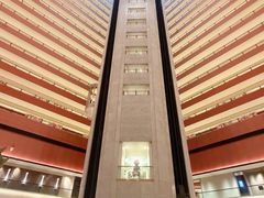 -新加坡文华东方酒店