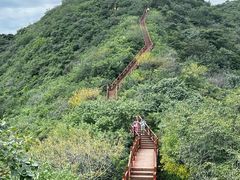 -大岭沟猕猴桃谷风景区