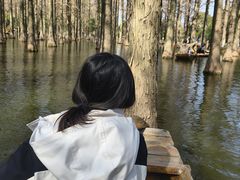 -渌洋湖湿地公园