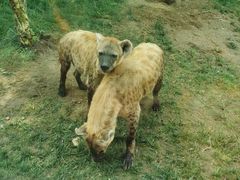 -北京野生动物园