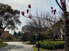 -南通鹏欣花园国宾酒店