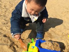 -瑶湖郊野森林公园