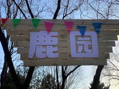 -青龙湖公园