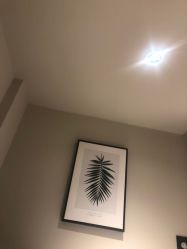 -三只熊皮肤管理中心旗舰店