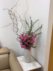 -北京叶子整形美容医院