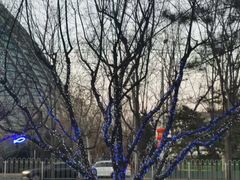 -凤凰中心