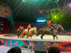 -俄罗斯国家大马戏团