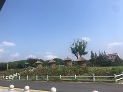 -MUSEO COFFEE咖啡博物馆