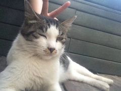 -有才叔的小馆(招商依云曲江店)