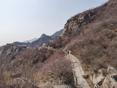 -北京凤凰岭