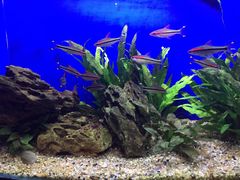 -上海海洋水族馆-停车场