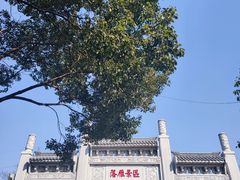 -东湖落雁景区